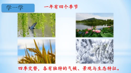 1 春夏秋冬   (教学课件)