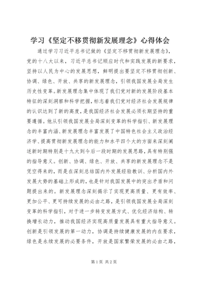 学习《坚定不移贯彻新发展理念》心得体会.docx