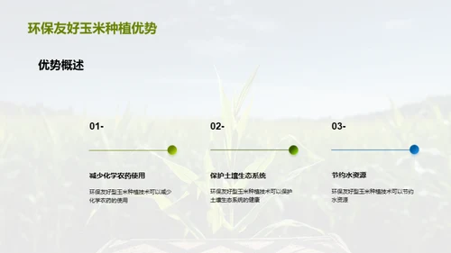 绿色农业：玉米种植新篇章