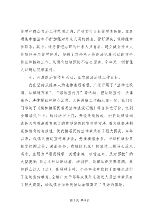 乡镇综治总结.docx