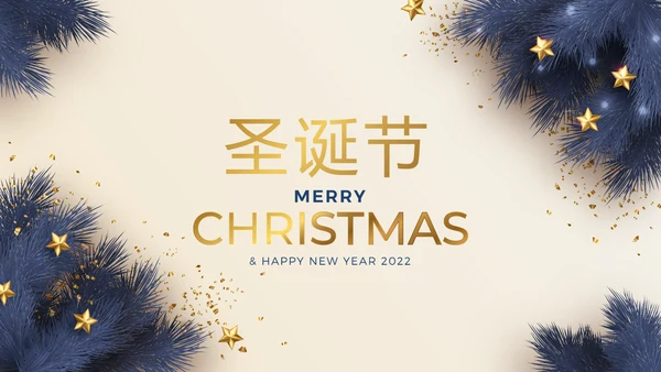 圣诞快乐圣诞节组织活动策划方案PPT