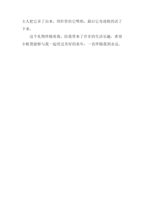 会动的“礼物”作文600字.docx