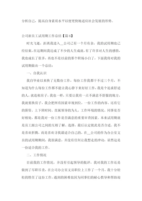 公司新员工试用期工作总结(通用7篇).docx