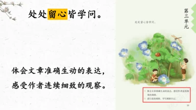 统编版语文四年级上册9《古诗三首》（课件）