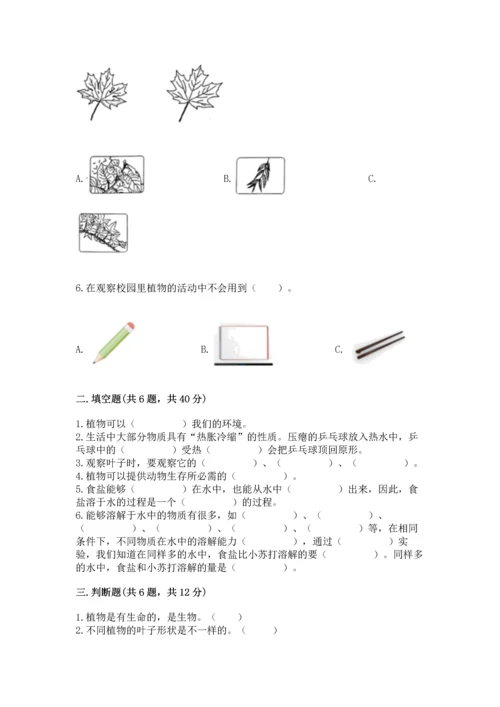 教科版科学一年级上册第一单元《植物》测试卷含答案（能力提升）.docx