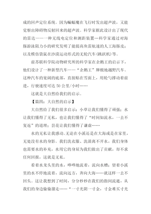 大自然的启示作文.docx