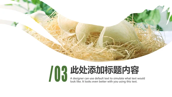 养身燕窝天然燕窝补品健康养生PPT模板新
