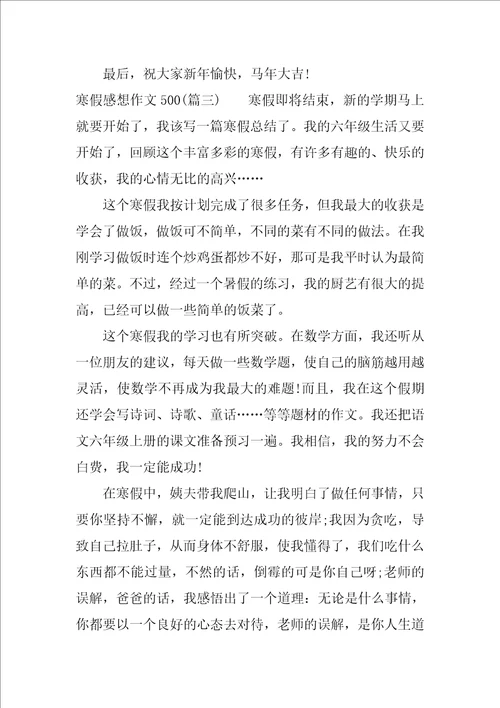 寒假感想作文500