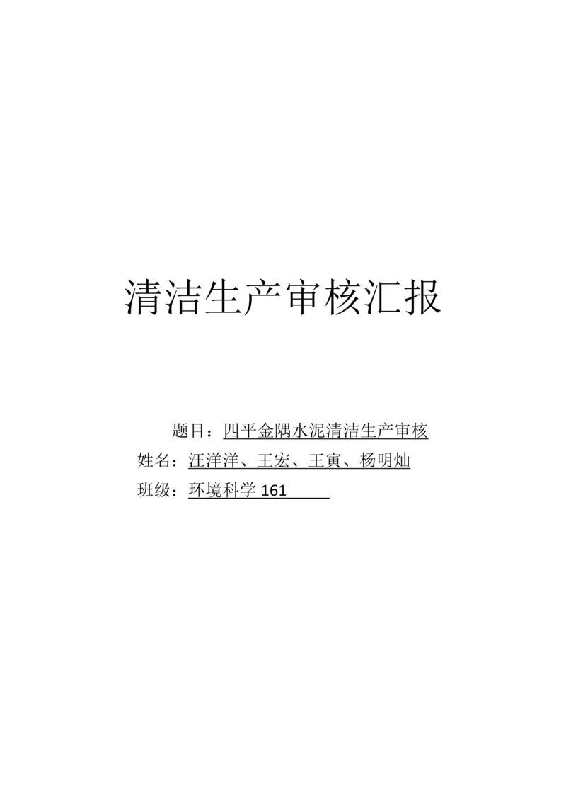 清洁生产审核标准报告.docx