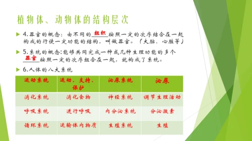 人教版生物七年级上册期中复习课件(共19张PPT)