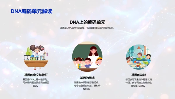 DNA结构与功能