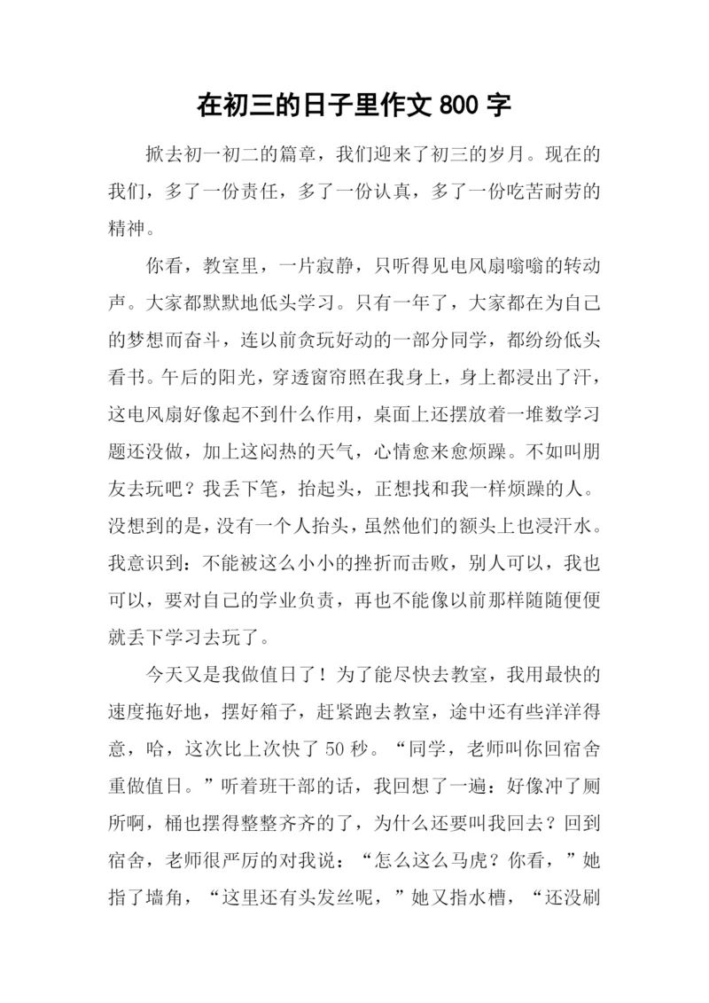 在初三的日子里作文800字-1.docx