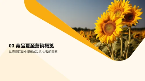 夏至营销攻略