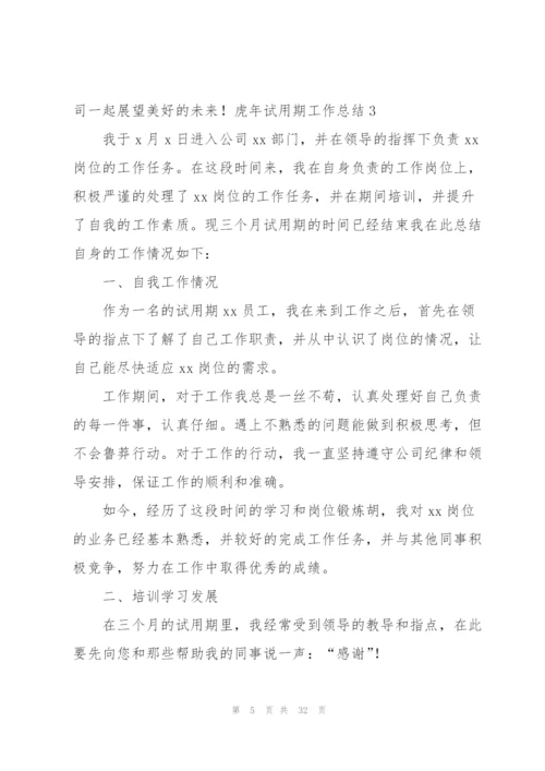 虎年试用期工作总结.docx