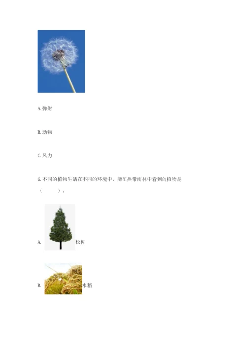 教科版四年级下册科学第一单元《植物的生长变化》测试卷精品（基础题）.docx