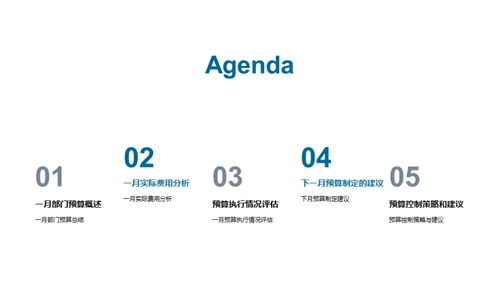 预算管理评估与策略