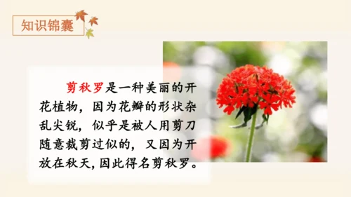 统编版语文四年级上册3.现代诗二首《花牛歌》 课件