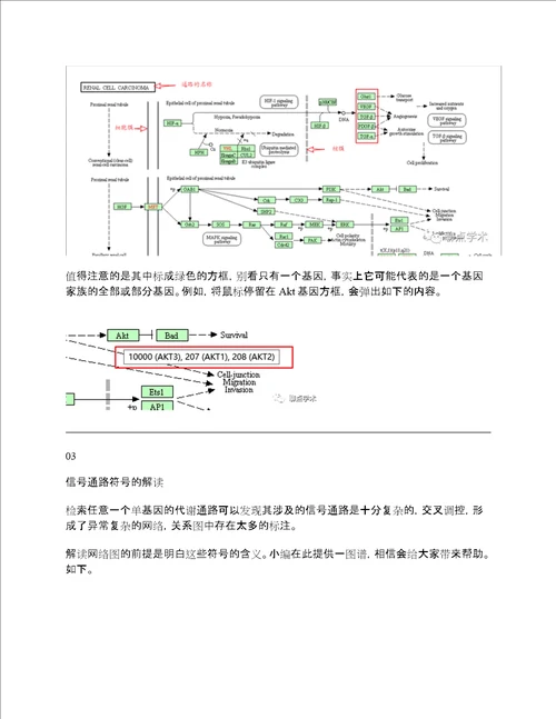 KEGGpathway介绍及其使用方法。