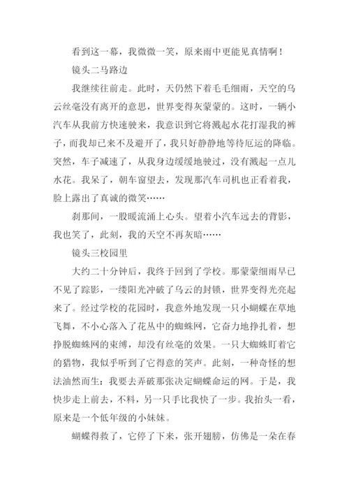 真情无处不在作文1000字.docx