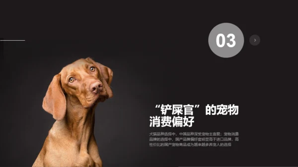 2021年宠物专题研究报告