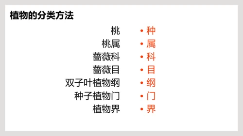 6.1.2+从种到界-【互动课堂】八年级生物上册精品课件（人教版）(共20张PPT)