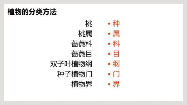 6.1.2+从种到界-【互动课堂】八年级生物上册精品课件（人教版）(共20张PPT)