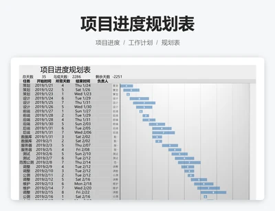 项目进度规划表