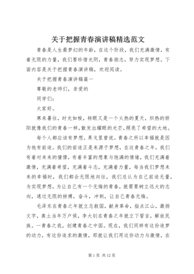 关于把握青春演讲稿精选范文.docx