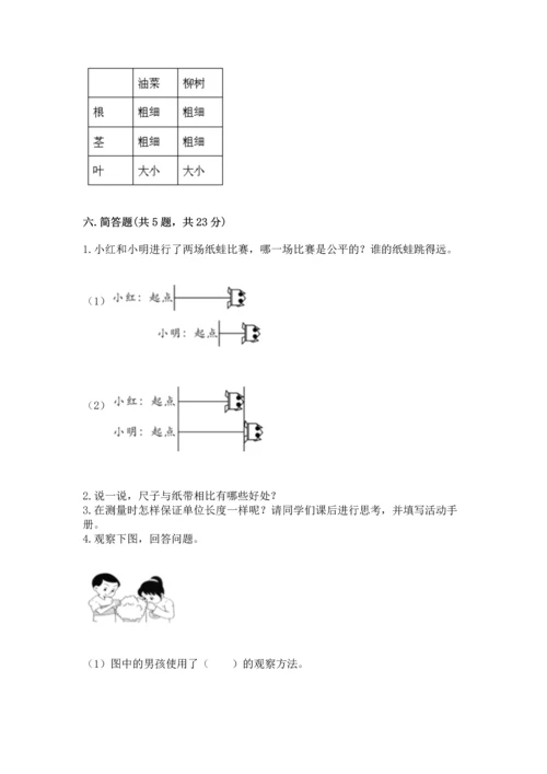 教科版一年级上册科学期末测试卷a4版.docx