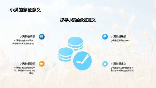 小满的韵味与启示