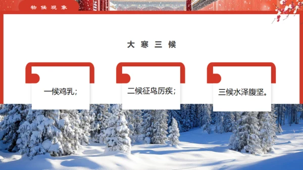 故宫的雪大寒气节通用PPT模板