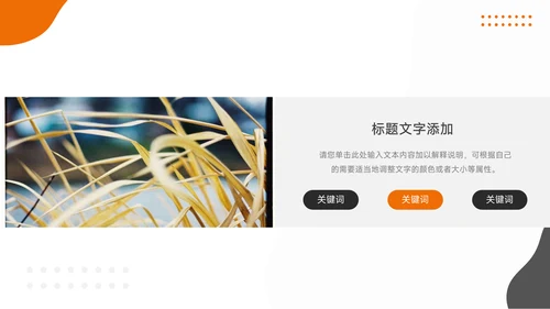 橙色欧美风公司部门培训PPT模板