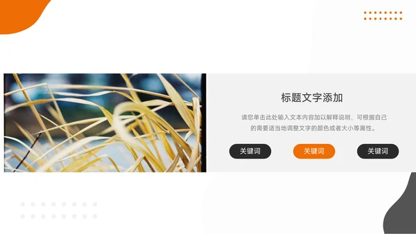 橙色欧美风公司部门培训PPT模板