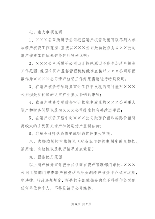 减资专项审计报告.docx