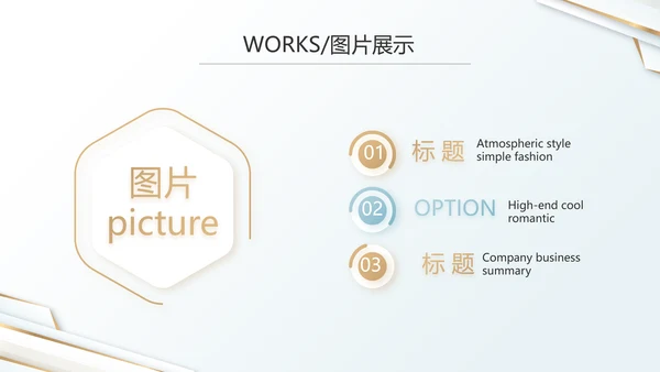简约室内设计方案汇报工作总结PPT