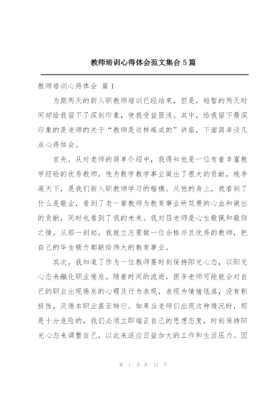 教师培训心得体会范文集合5篇.docx