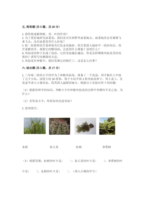 教科版科学四年级下册第一单元《植物的生长变化》测试卷（培优）.docx