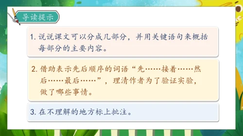 【核心素养】部编版语文三年级下册-14. 蜜蜂 第1课时（课件）