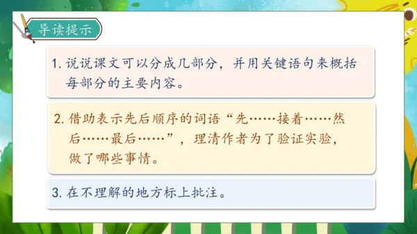 【核心素养】部编版语文三年级下册-14. 蜜蜂 第1课时（课件）