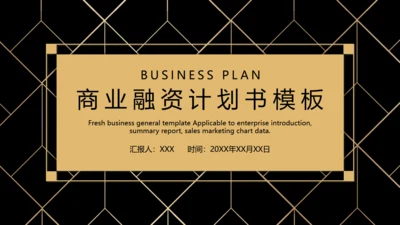 BUSIESS PLAN 商业融资计划书通用PPT模板