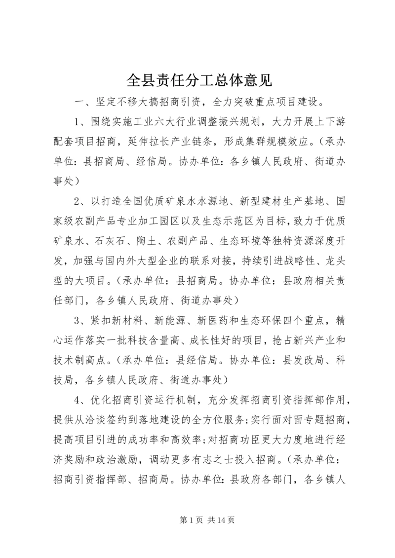 全县责任分工总体意见.docx