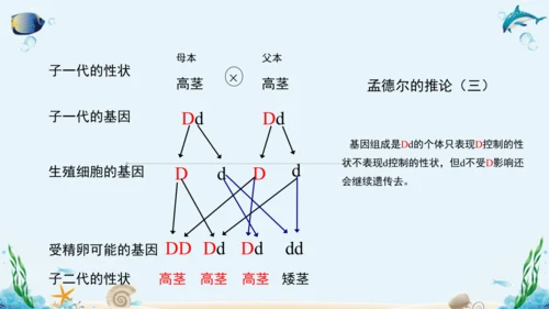 人教版八年级下册生物复习课件