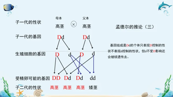 人教版八年级下册生物复习课件