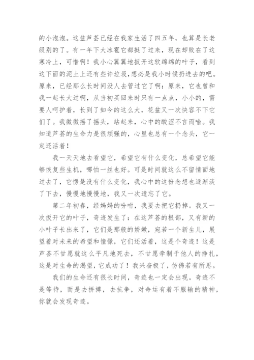 奇迹作文.docx