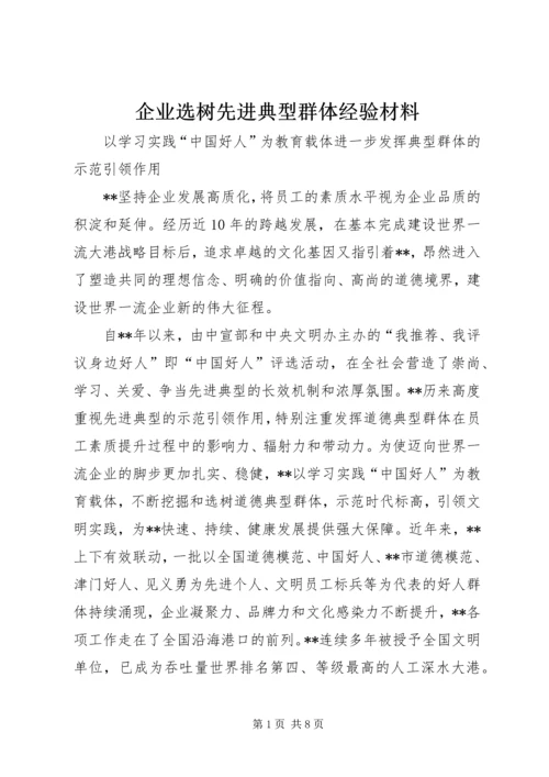 企业选树先进典型群体经验材料.docx