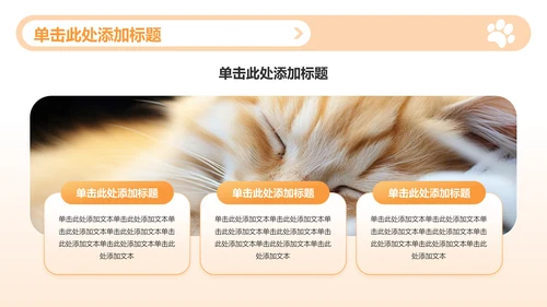 橙色渐变风可爱猫咪图集通用模板PPT模板