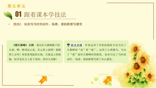 统编版语文四年级上册2024-2025学年度第五单元习作： 生活万花筒（课件）