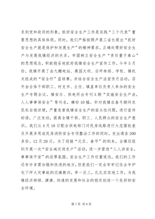 某镇XX年度安全生产工作总结工作计划.docx