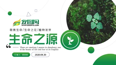 唯美绿色植物发芽植物生长敬畏生命PPT模板