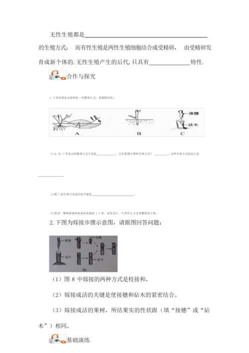 【人教版】八年级生物下册《植物的生殖》教案073041.docx